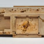Photograph 5